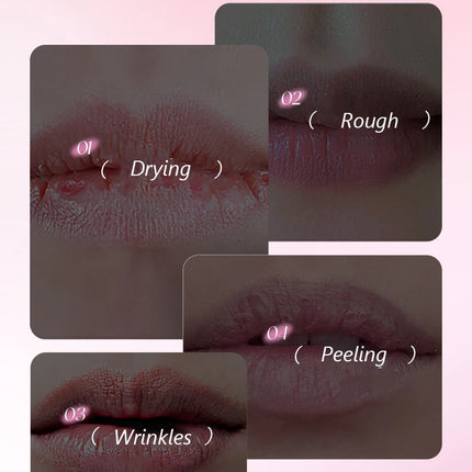 6pcs/box Fruits Lip Balm Set Moisturizing Lip Plumper Anti-Cracking Hydrating Lipstick Makeup Base Nourishing Lip Care