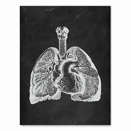 Human Anatomy Artwork Medical Clinic Wall Picture Skeleton Organ Muscle System Vintage Canvas Print Body Education Poster