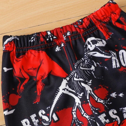 Spring and autumn style for young boys, dinosaur printed fleece hooded long-sleeved sweatshirt and sweatpants, casual two-piece