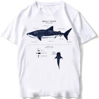BJ3870-8-white / L