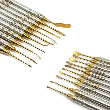 10 Pcs Dental Implant Periosteal Elevator Set for Periodontal and Maxillofacial Surgery Retracting Reflecting Tool Kit