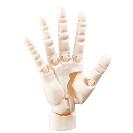 Art Hand Figure Joint Model Painting Sketching Blind Box Children Toy
