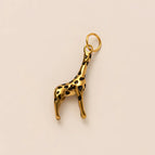 giraffe / Mainland China