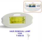 T009i-B Lamp (B.)