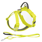 Lemon 2-piece Set / L