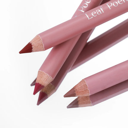 Lipstick Lipliner Pen Set Matte Velvet Lip Liner Pencil Contour Makeup Sexy Red Lip Stick Long Lasting Cosmetics