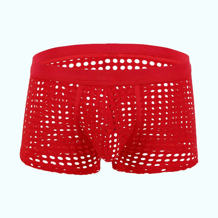 Breathable Mesh Men's Underpants Sexy Man Big Penis Pouch Boxers Summer Hollow Net Slip Briefs for Men Seven colors 1pcs
