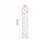 Transparent  15.5cm