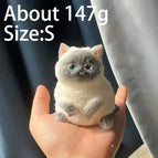Siamese Cat 147g