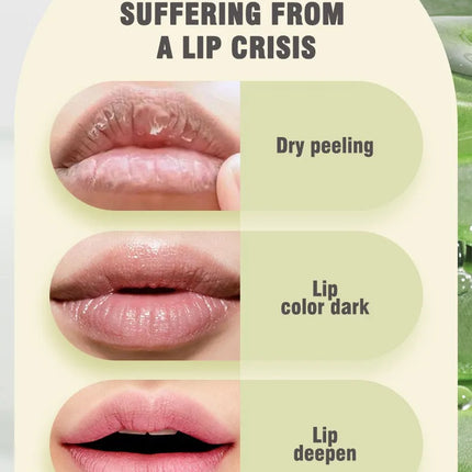 6 Color Aloe Vera Liquid Lipstick Set Color Changing Lip Gloss Lasting Moisturizing Lip Tint Beauty Korean Cosmetics Makeup Tool