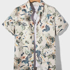 VF3361 / 4XL