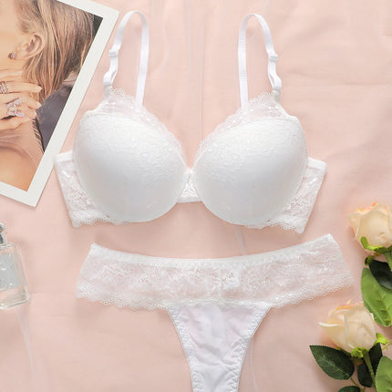 Hot selling women's sexy embroidered lace bra set with steel ring gathering push up and seamless thong set B6064