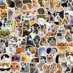 100pcs