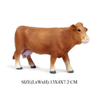 bull-6