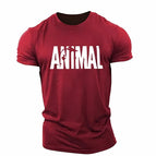 DTKG23MG1T7I / 6XL