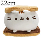 22cm