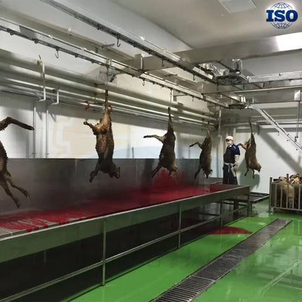 Réservoir de collecte de sang en acier inoxydable sanitaire personnalisé pour l'abattage de bovins et la saignée
