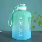 1600ML 3 / 1 Pcs