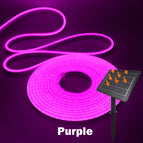 Purple / 8M