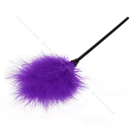 Beginner BDSM Flirting Set –Sensual Tickler Feathers & Brushes Kit, Adult Sensory Massage Tools for Couples Women Men