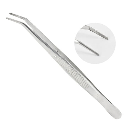 10 20PCS Stainless Steel Dental Cotton Tweezers Filling Clip Nail Art Nippers for Professional Medical Surgical Instruments