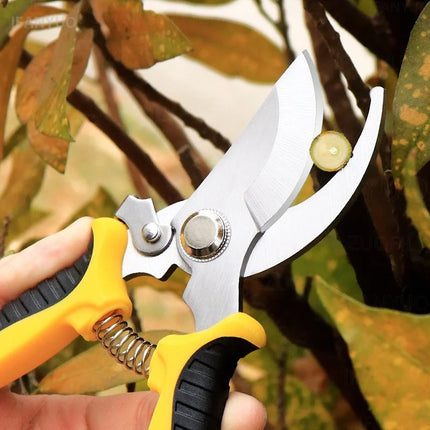 Stainless Steel Garden Scissors Set Gardening Shears Set Fruit Grape Thinning Pruning Shears Straight Gardening Flower Scissors
