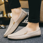 Beige / 46