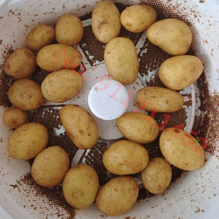 110V/220V Small Electric Potato Peeler Home Automatic Potato Peeling Machine Vegetables Salad Rotating Dehydrator