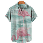 CS2024AQ8554 / XL