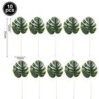 10pcs 2