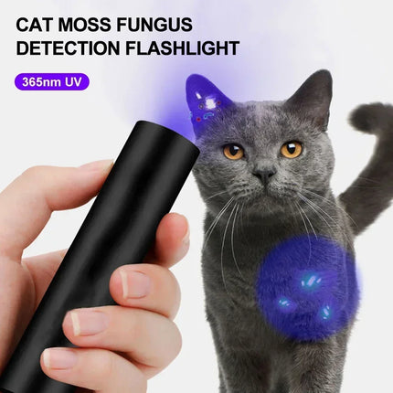 2 In 1 Ultraviolet Flashlight Purple White Dual Light Zoomable Torch Built in Battery Recharge Scorpion Hunting UV Flashlights