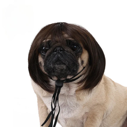Pet Wig Dog Wig Pet Supplies Halloween Pet Accessories Curly Hair Straight Hair Cat Wig It can be DIY trimmed