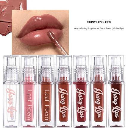 Hydrating Crystal Lip Oil - Plumping & Moisturizing Gloss with Tinted Shades for All Skin Types