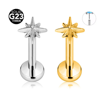 ASTM F136 G23 Titanium Star Heart Threadless Piercing Fine Pin Push in Labret Stud Daith Conch Earring Lip Jewelry 16G 18G 20G