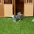 Mini Cat -36