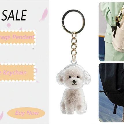 New Transparent Cat Hair Storage Keychain Cute DIY Pet Fur Keepsake Capsule Portable Souvenirs Keychain Pet Lovers