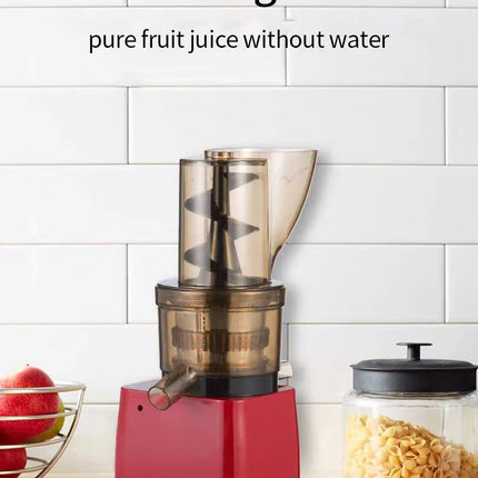 Stainless Steel Fruit Vegetable Juicer Commercial Cold Press Squeezer Extractor Machine Slow Juicer