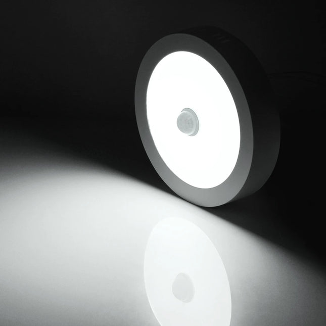 18W 12W 6W Night light LED Ceiling Lamp With Motion Sensor PIR Corridor Bedroom Toilet Lights 85-265V Human Body Induction