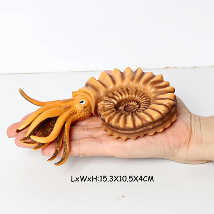 Simulation Marine Mollusc Plastic Model Figures Nautilus Ammonite Squid Octopus Figurine Sealife Animal Educational Toy For Kids