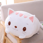 white cat / 20cm