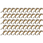 50pcs burshes