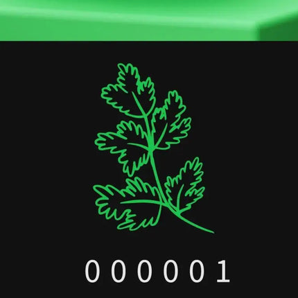 Bottled Joy Wang Yibo Limited Edition Coriander Cilantro Tumbler Insulated Mug with Unique Code Stainless Steel Water Bottle