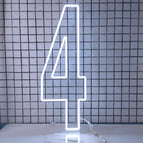 100cm(3.3FT) tall / number  4 / China Mainland