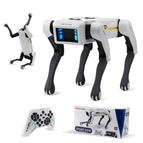 Robot dog