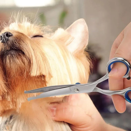 2026 Professional Pet Grooming Scissors with round Head Stainless Steel Dog Hair Shears Safe Precise Effortless Trimming