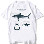 BJ3870-9-white / XXL