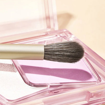 GECOMO Eye makeup brush set, Detail brush, Shading brush,Nose Shadow Eye Makeup set,a complete set of makeup tools for beginners