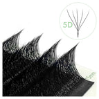 W Shaped 5D / LU / 0.07mm|8mm
