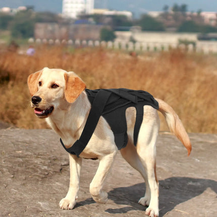 Breathable Dog Back Brace Comfortable Pet Back Bracer For IVDD Back Protector Helps Injury Recovery And Rehabilitation S/M/L