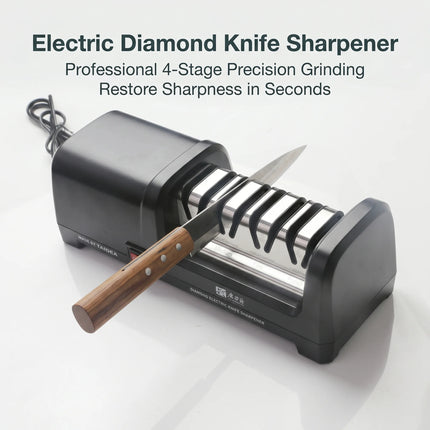TG2102 4-Stage Electric Knife Sharpener – 20° Edge for Kitchen Knives, Sharpening & Polishing